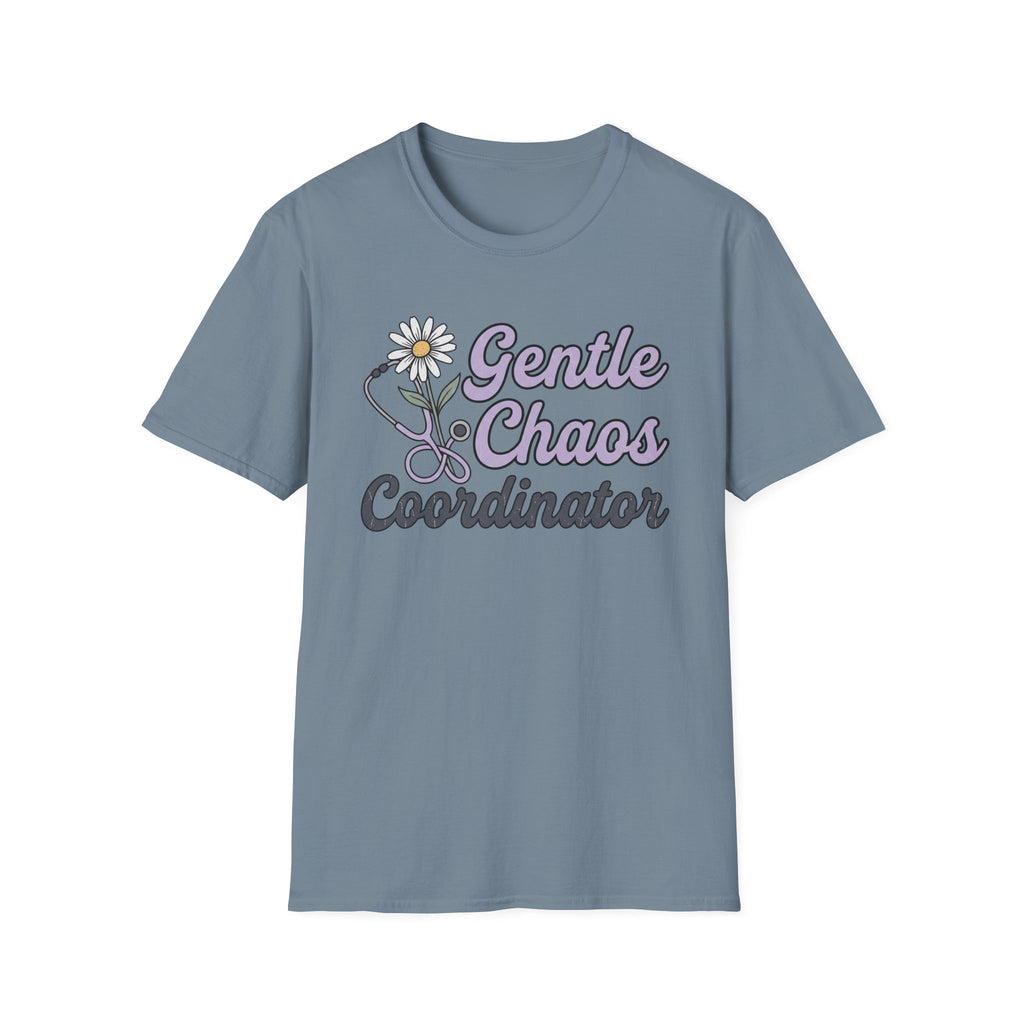 Gentle Chaos Coordinator